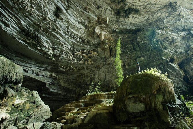 Phong Nha & Paradise Cave - 1 Day All Inclusive - Two very different caves in one long day