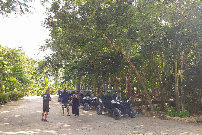 Playa del Carmen Buggy Tour with Cenote Swim and Mayan Village Visit - What the $99 price covers