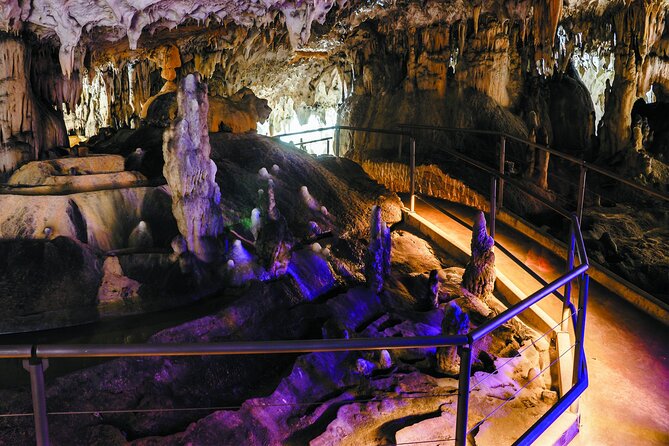Postojna Cave and Predjama Castle - Entrance Tickets Included - Key points to know before you book
