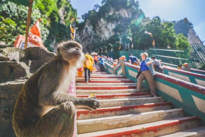 Private KL City Tour with Petronas Twin Towers & Batu Caves - Petronas Twin Towers and the best city view