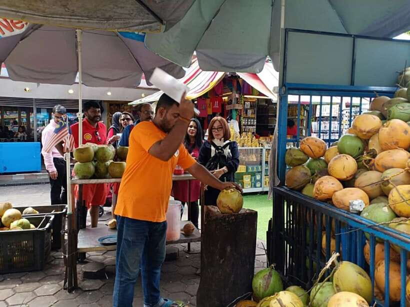 Private KL City Tour with Petronas Twin Towers & Batu Caves - What your private driver adds to the experience