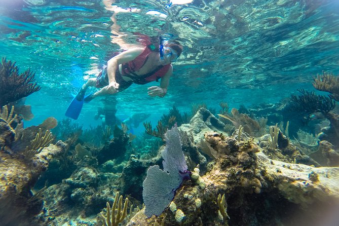 Private Tulum Ruins, Reef Snorkel & Cenote Adventure - A full Riviera Maya day without the group-bus shuffle