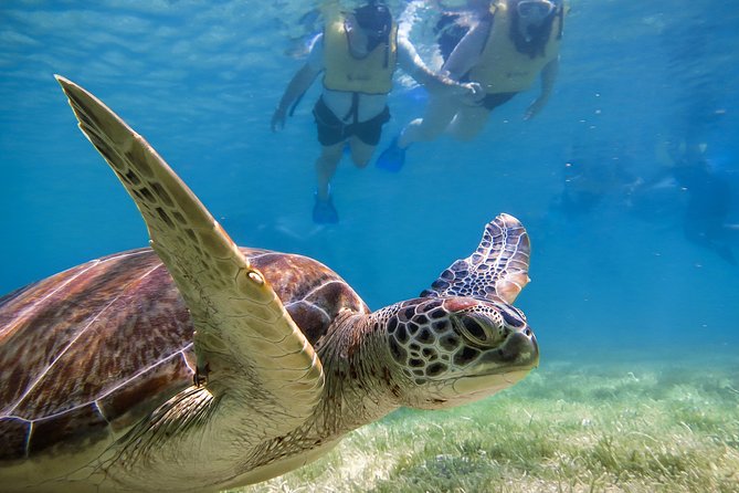 Private Tulum Ruins, Turtles in Akumal and Cenote Adventure - Tulum: Maya Ruins Above the Caribbean