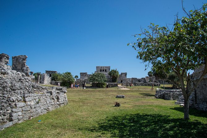 Private Tulum Ruins, Turtles in Akumal and Cenote Adventure - The Cenote: Freshwater Swimming in the Yucatan