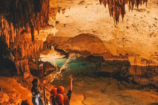 Private Turtles & Cenotes Adventure - Why private transport changes the morning