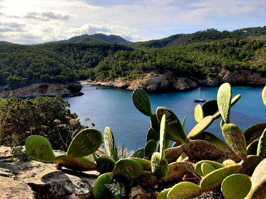 Puerto de San Miguel: Can Marçá Cave Guided Tour with Entry - The walk to the entrance is part of the reward