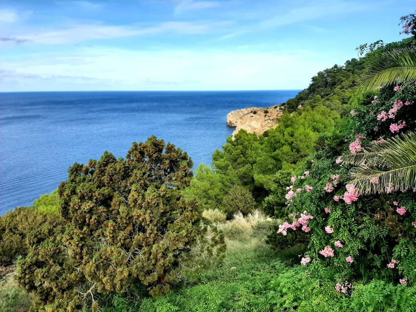 Puerto de San Miguel: Can Marçá Cave Guided Tour with Entry - What you see inside during the 45-minute visit