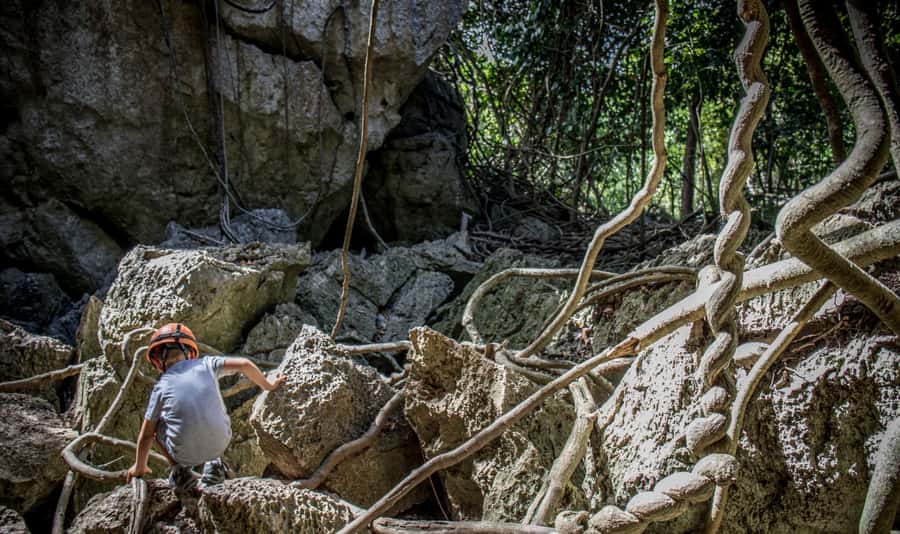 Queensland: 90 Minute Capricorn Caves Explorer Tour - Key points to know before booking