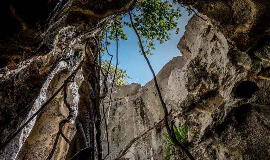 Queensland: 90 Minute Capricorn Caves Explorer Tour - Starting at the Capricorn Caves kiosk