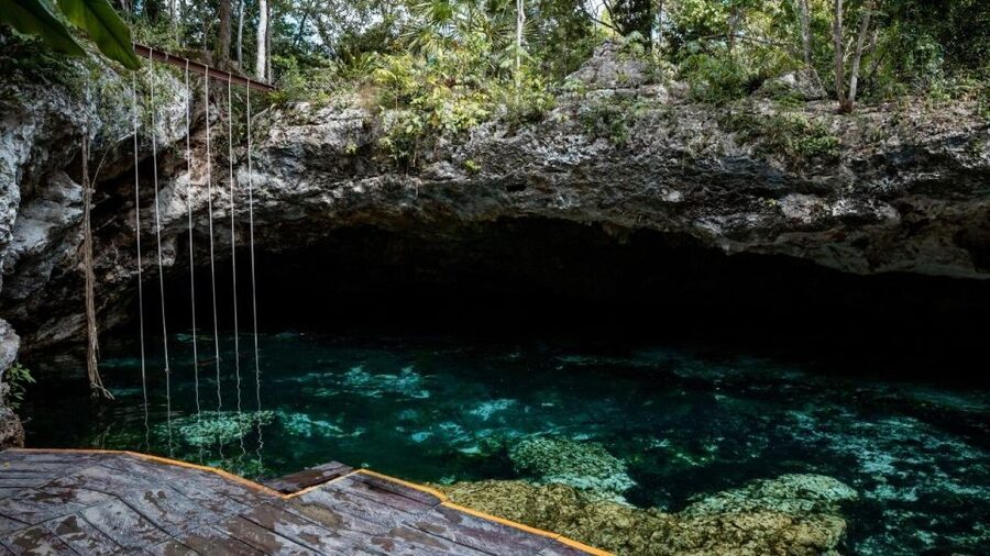 Riviera Maya: Tulum Ruins and 2 Cenotes Half-Day Tour - Guides make the history easier to follow