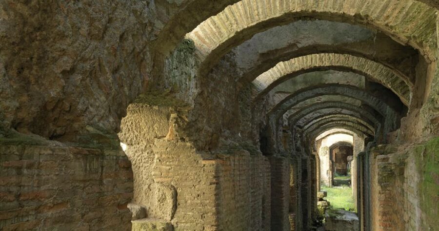 Rome: Ancient History and Colosseum Underground Tour - Why the underground changes the Colosseum visit