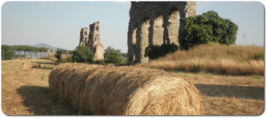 Rome: Appian Way E-Bike Tour Catacombs, Aqueducts & Picnic - Meeting at Viale Aventino