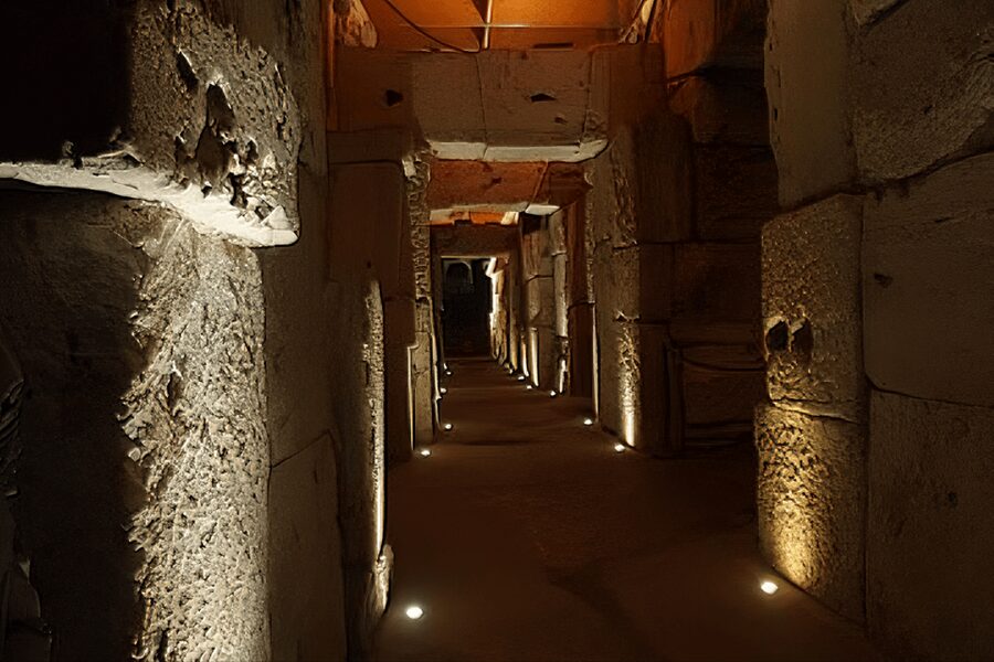 Rome: Colosseum Underground and Arena Floor Tour - Continuing through the Roman Forum and Palatine Hill