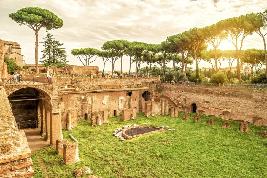 Rome: Colosseum Underground, Arena & Forum Tour - Who will get the most from this tour