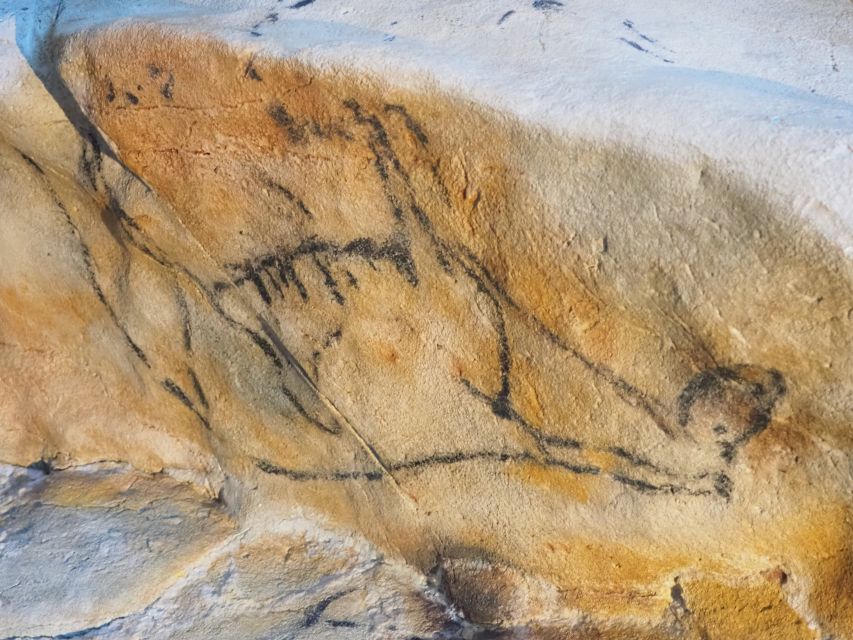 Santander: El Castillo Caves & Paleolithic Art Tour - Why these caves matter more than a standard museum visit