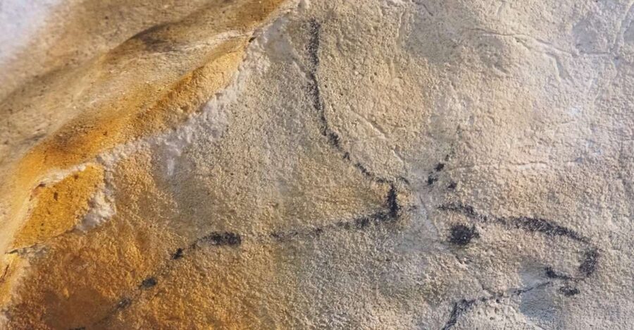 Santander: El Castillo Caves & Paleolithic Art Tour - The Paleolithic Art Interpretation Centre