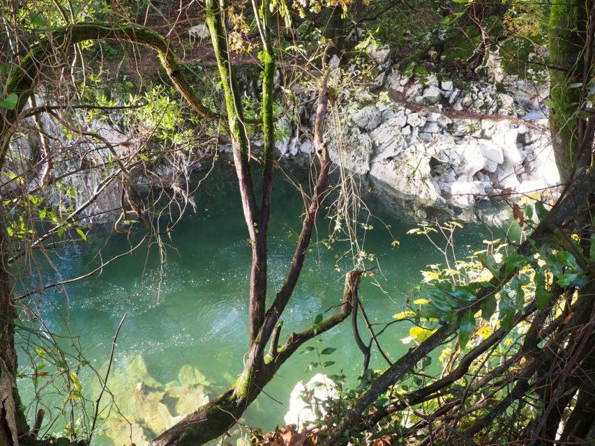 Santander: El Castillo Caves & Paleolithic Art Tour - The walk to Las Monedas and a second cave perspective