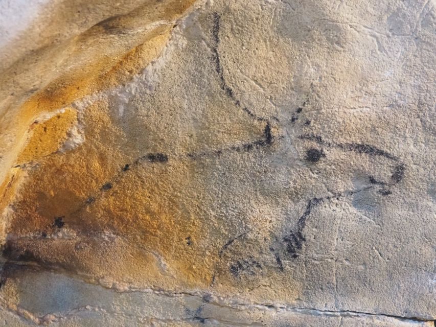 Santander: El Castillo Caves & Paleolithic Art Tour - Is $130 a fair price?