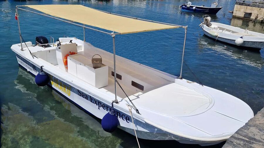 Siracusa: Ortigia & Sea Caves Boat Tour w/ Prosecco & Fruit - The island’s walls, castle, and freshwater spring