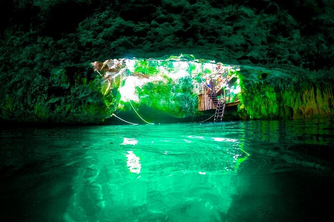 Small-Group 3 Hidden Cenotes Adventure with Tequila Tasting - Why the $69 price can work