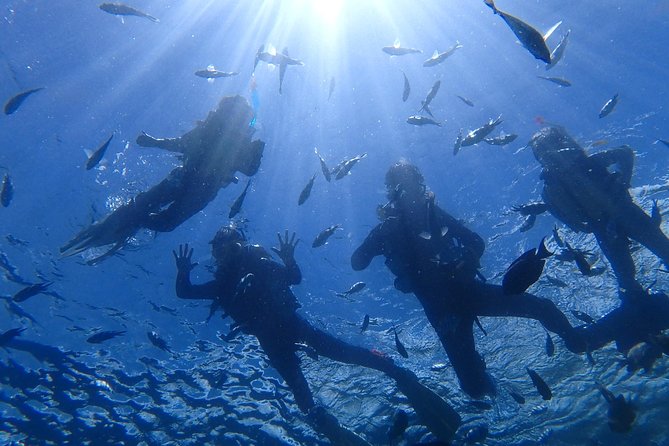 Snorkeling in the Blue Cave area【Okinawa Prefecture: Free feeding & photo images!English and Chinese speaking guide available! - Blue Cave snorkeling in plain terms