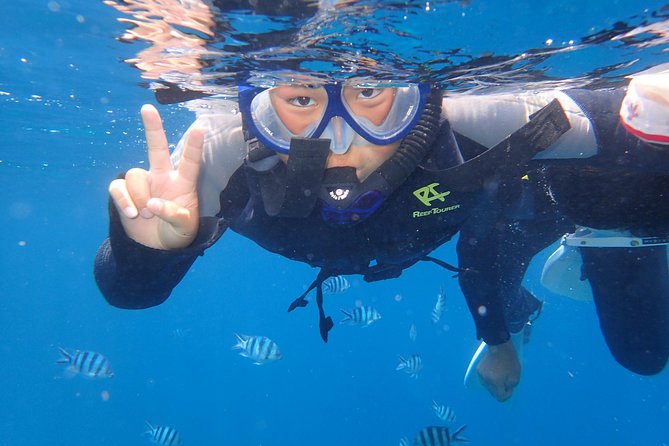 Snorkeling in the Blue Cave area【Okinawa Prefecture: Free feeding & photo images!English and Chinese speaking guide available! - Guides and the level of support