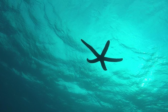 Snorkeling in the Blue Cave area【Okinawa Prefecture: Free feeding & photo images!English and Chinese speaking guide available! - What the $19.82 price really includes