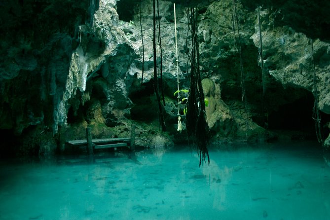 Snorkeling with Caribbean fish and private cenote exploration - Practical timing and cancellation advice