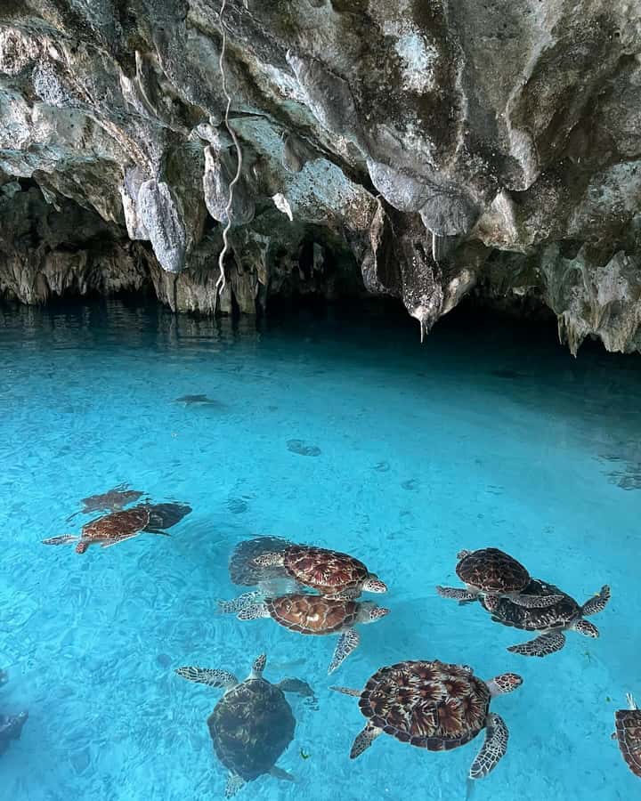 SWIMMING WITH TURTLES AT SALAAM CAVE AT KIZIMKAZI ZANZIBAR - Crowds, timing, and the small cave problem