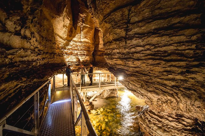 Te Anau Glow Worm Caves Tour - Why the Te Anau Glow Worm Caves are worth your time