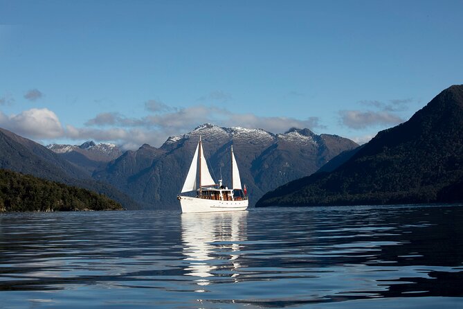 Te Anau Glow Worm Caves Tour - Walking beside the underground river