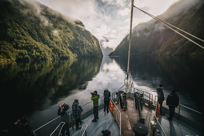 Te Anau Glow Worm Caves Tour - The punt ride beneath thousands of tiny lights