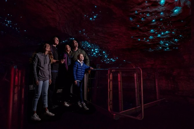 Te Anau Glow Worm Caves Tour - The 30-minute cruise across Lake Te Anau