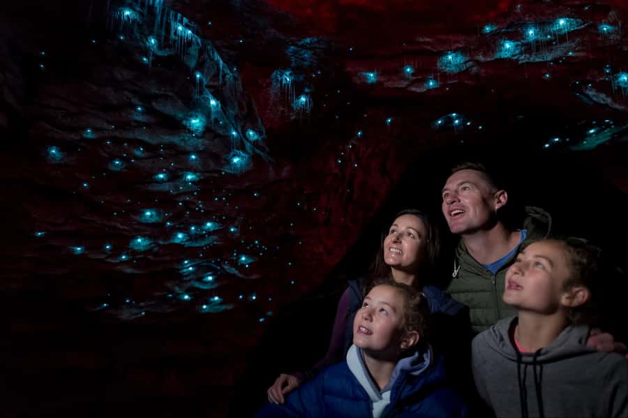 Te Anau: Glowworm Caves Guided Tour - Why the Te Anau Glowworm Caves are more than a quick look at worms