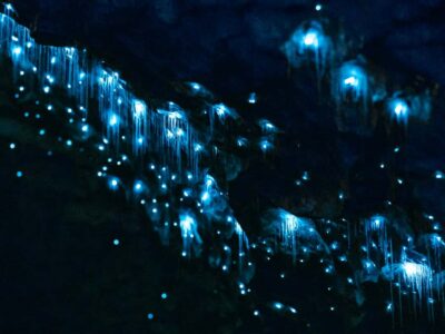 Te Anau: Glowworm Caves Guided Tour