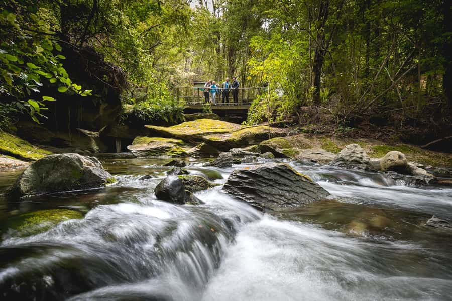 Te Anau: Glowworm Caves Guided Tour - The cave entrance leads into a young, active system