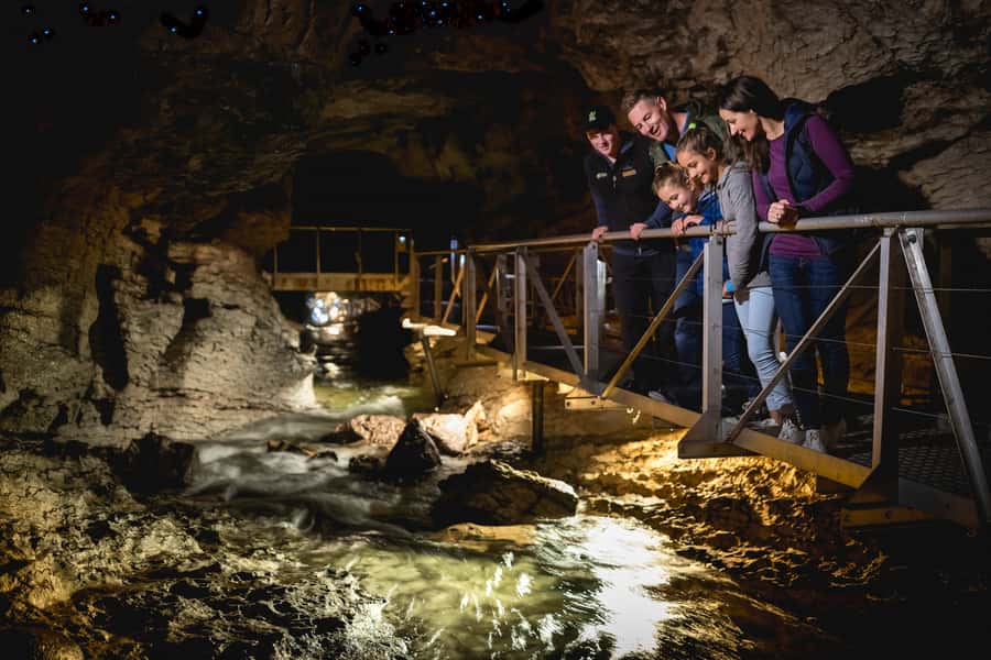 Te Anau: Glowworm Caves Guided Tour - The guide adds meaning to the darkness