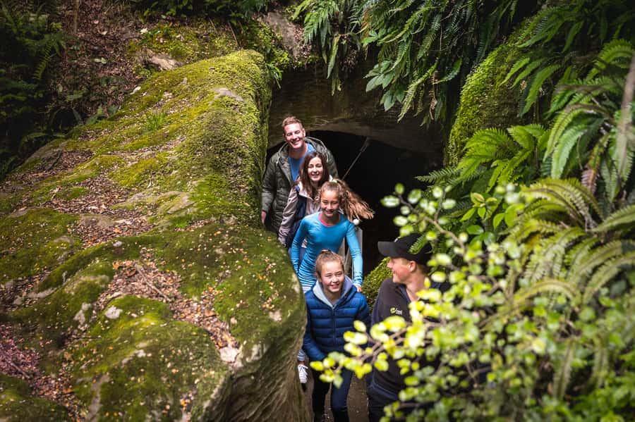 Te Anau: Glowworm Caves Guided Tour - Tea, coffee, and a useful cooldown