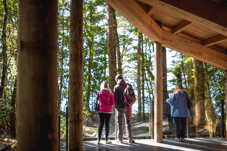 Te Anau: Glowworm Caves Guided Tour - Is $77 a fair price?