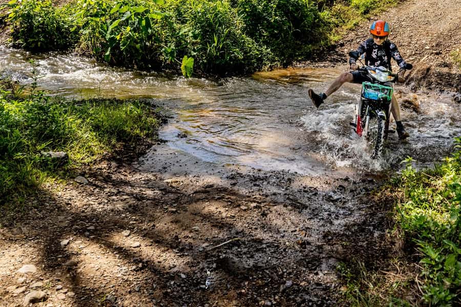 The REAL Thailand on a scooter. Check reviews !! - Lunch, elephants and a change in scenery