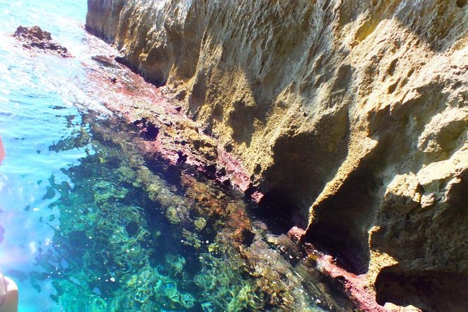 Tour of the island of Ortigia and exploration of sea caves with baths. - Who should book this boat trip?