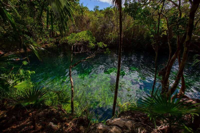 Tulum: Cenote Trail Bike Tour - Is $119 a fair price?