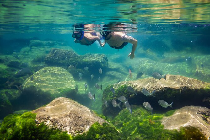 Tulum Guided Tour, Magical Cenote, Lagoon Snorkeling and Beachside Lunch - Yal Ku Lagoon: calm water and plenty of fish
