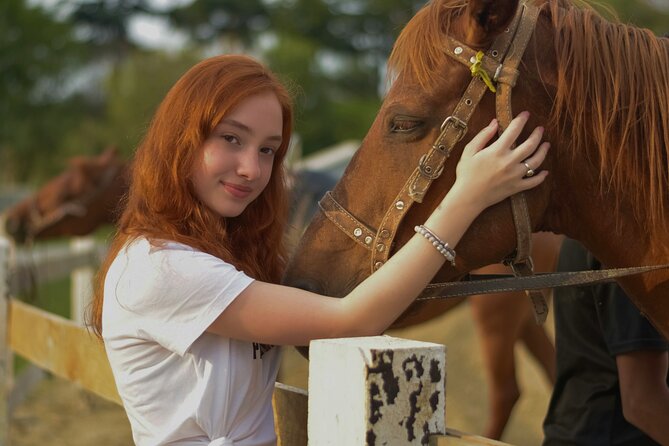 Tulum Jungle Horseback Ride + ATV + Ziplines + Cenote Combo Tour - Key points to know before you book