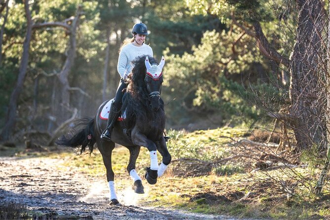 Tulum Jungle Horseback Ride + ATV + Ziplines + Cenote Combo Tour - ATV riding on a dusty 20-kilometer route