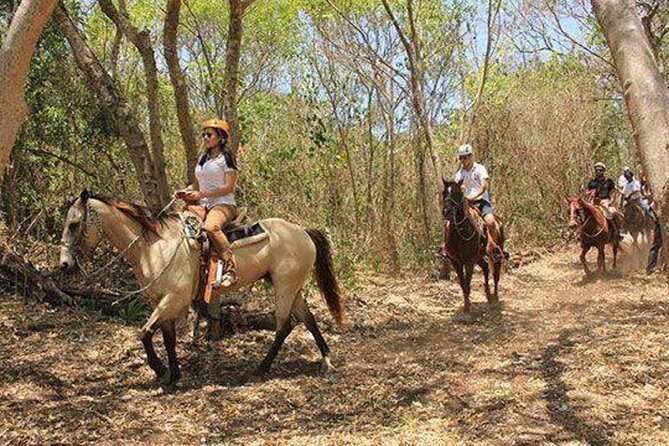 Tulum Jungle Horseback Ride + ATV + Ziplines + Cenote Combo Tour - Lunch, water, and the real value of $125