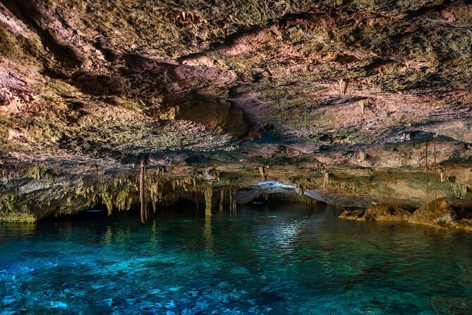 Tulum Ruins and Cenote Guided Tour, from Cancun - Who Should Book This Tulum Day Trip?