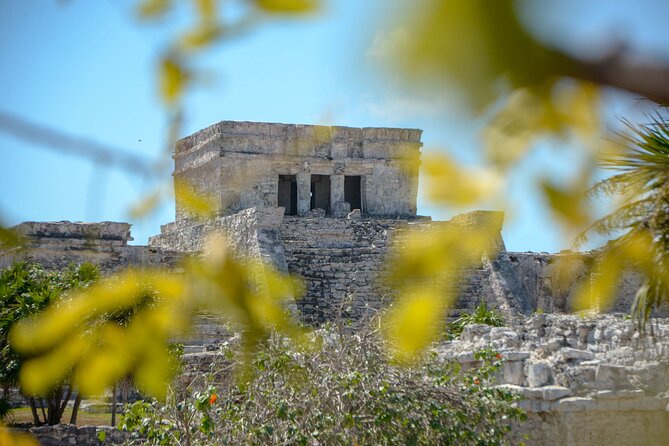 Tulum Ruins, Turtles in Akumal and Cenote tour - Transport and group size: efficient, but not always roomy