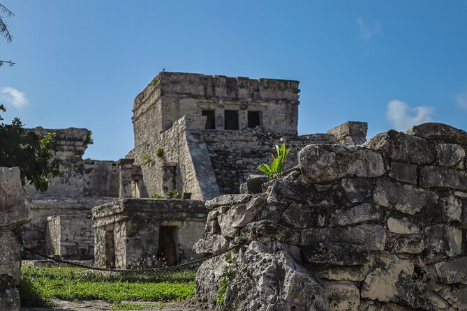 Tulum Ruins, Turtles in Akumal and Cenote tour - Akumal Bay: turtles, rays, and a busy water route