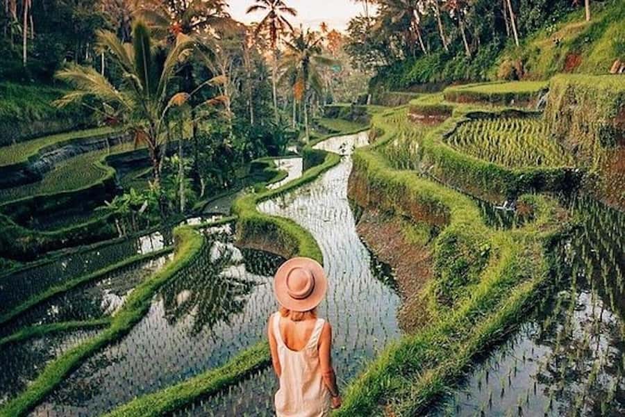 Ubud: Rice Terrace, Waterfall, & Elephant Cave - Tegalalang rice terraces: the most photogenic walk